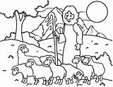 Coloring Sheep Shepherd Getdrawings Pages sketch template