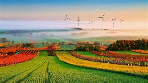 nature landscape trees clouds field mist hill house vineyard wind turbine wallpapers hd