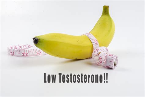5 Foods That Kill Testosterone Elite Testosterone