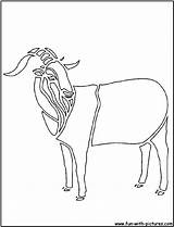 Goat Cutout Coloring Pages Cutouts Fun sketch template