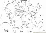 Rabbit sketch template