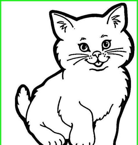 sketsa gambar kucing  mudah pulp
