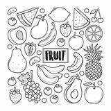 Doodles Dibujado Fruta sketch template