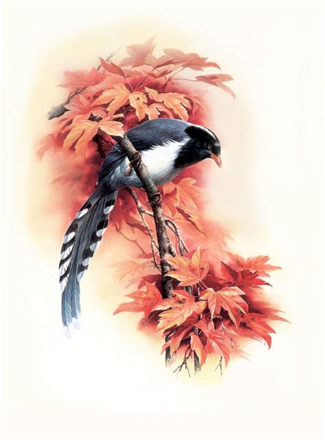 birds art painting  full image