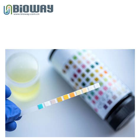 bioway urine test strip strip urine test ketone ph sg mal acr cre glu bld vc leu