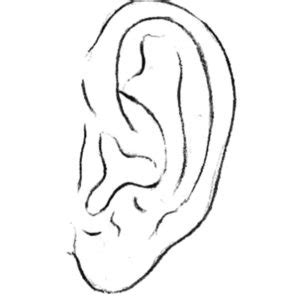 coloring page  ear  svg images file