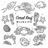 Sea Coral Reef Drawing Sketch Ocean Drawings Creatures Reefs Easy Set Pencil Line Silhouettes Drawn Life Background Sketches Tropical Sealife sketch template