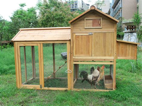 access large chicken coop   chickens eldon