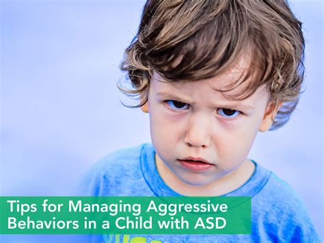 Tips For Managing Aggressive Behaviors — Behavior Frontiers