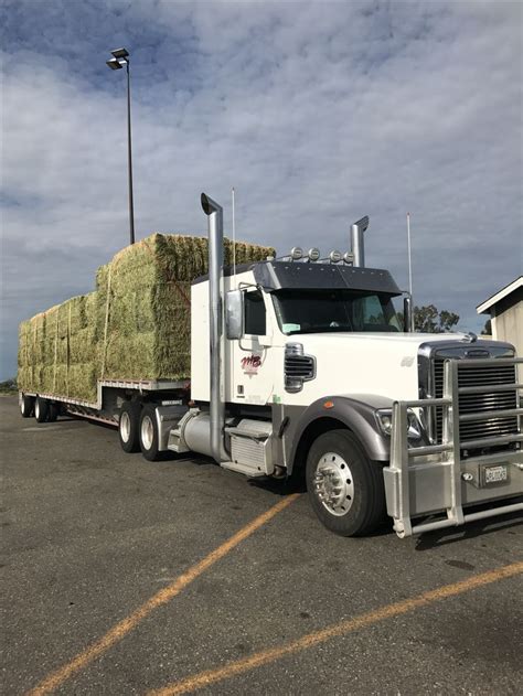 pin  mbtrucking  hay trucks freightliner trucks freightliner