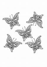 Butterflies Swarm Ornamental Coloring Thriftyfun Adult Click Five sketch template