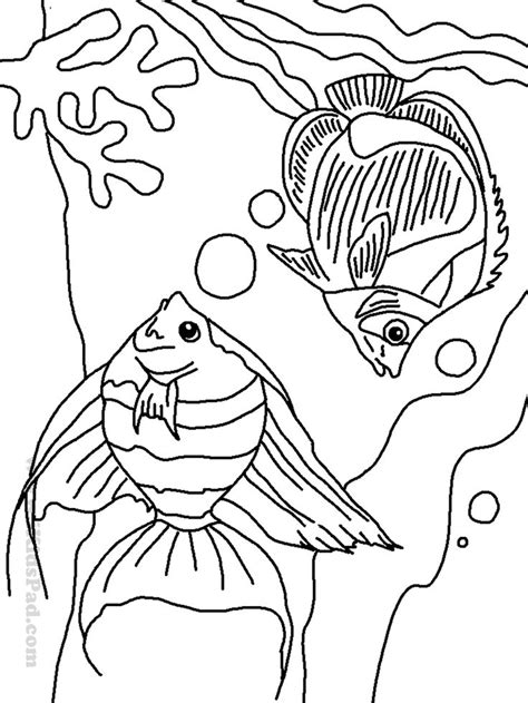 cartoon sea animals coloring pages   fun  kids  color description  ikidspadc