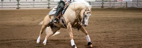 enm donates  reining horse competitions