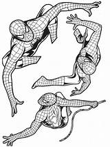 Spiderman Coloriage Postures Colorier Plusieurs Superheroes Spider Imprimé sketch template