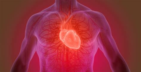 heart murmur symptoms natural tips for heart health dr axe