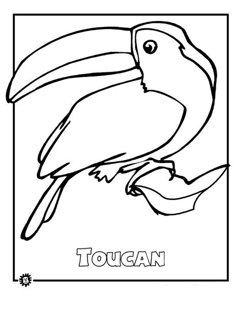 rainforest animals coloring pages  animal coloring pages rainforest