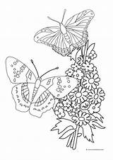 Butterfly Coloring Butterflies Flowers Pages Drawing Roses Forget Flower Color Two Pencil Bouquet Children Skull Printable Mandala Sheet Outline Getdrawings sketch template