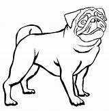 Pug Coloring Outline Pages Baby Puppy Clipart Dutch Bulldog Printable Drawing Cute Printables Color Cliparts Clip Print Drawings Getdrawings Paintingvalley sketch template