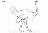 Ostrich Drawing Draw Step Animals Farm Learn Finishing Giving Properties Touch Additional Complete Some Tutorials Drawingtutorials101 sketch template