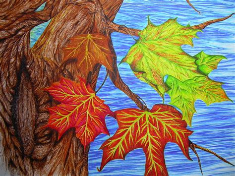 autumn drawing   draw  autumn leaf realism challenge