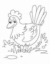 Hen Coloring Red Pages Little Colouring Hens Kids Color Printable Story Activities Sheets Pretty 1920s Animals Kid Preschool Getcolorings Da sketch template