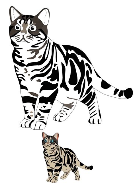 realistic cat coloring pages   coloring sheets  cat