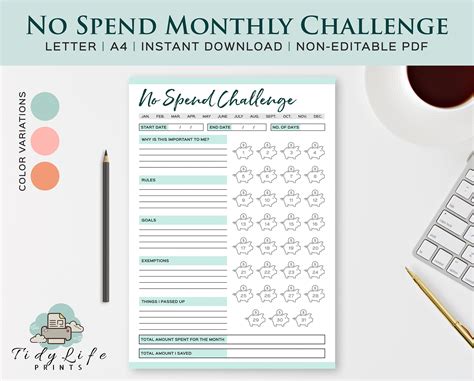 spend challenge printable planner monthly tracker etsy