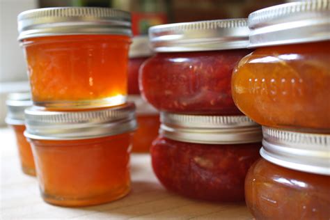 jam jelly food preservation guide iii jam jelly  fruit preserves canadian family net