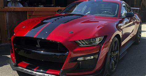 shelby gt packing  hp   powerful street legal mustang