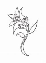 Deviantart Sensation Average Lily Flower Tattoo Tattoos sketch template
