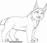 Lynx Coloring Lineart Canada Pages Comments Deviantart Coloringhome sketch template