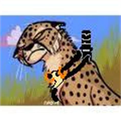 image animal jam cheetahjpg animal jam fanon wiki