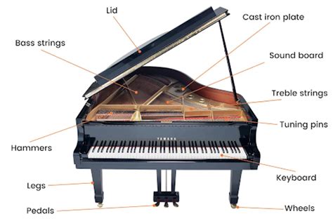 Parts Of Piano You Need To Know