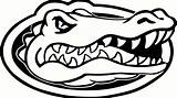Gator Florida Gators Logo Coloring Pages Football Head Clipart Decal Color Mascot Clip Drawing Silhouette Alligator Outline Uf Logos Ncaa sketch template