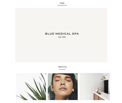 blue medical spa  behance
