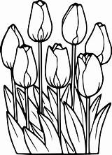 Coloring Pages Printable Flower Tulip Tulips Mandala Flowers Print Color Choose Board Sunflower sketch template
