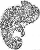 Mandala Coloring Chameleon Animal Animals Pages sketch template