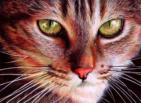 Photorealistic Ballpoint Pen Drawings By 29 Year Old