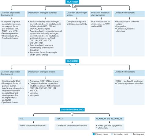 Classification Of Dsds Disorders Of Sex Development Dsds Are