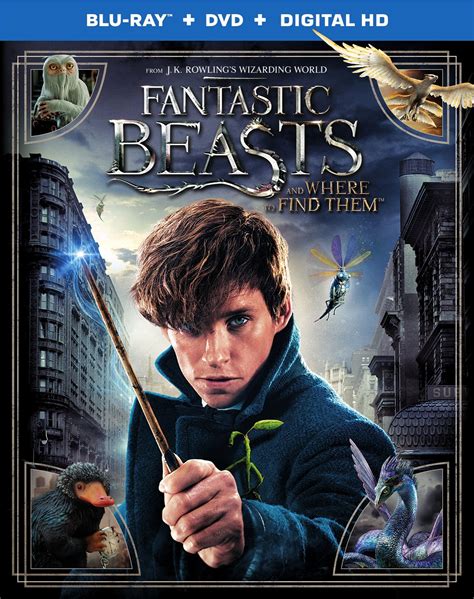 fantastic beasts    find  dvd release date march