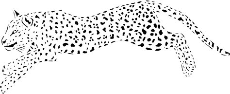 baby cheetah  coloring pages coloring home
