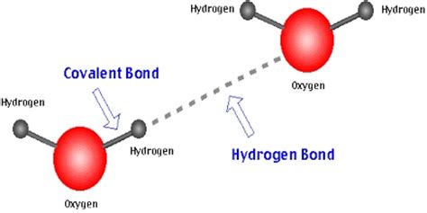 hydrogen bond assignment point