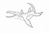 Liopleurodon Mosasaurus sketch template