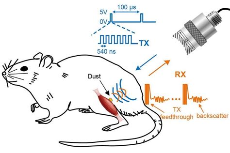 sprinkling  neural dust opens door  electroceuticals neuroscience news