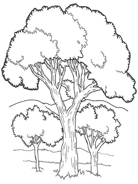 trees printable coloring pages