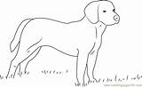 Beagle Coloring Dog Pages Coloringpages101 Dogs Color Pdf sketch template