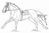 Horse Race Drawing Coloring Pages Printable Getdrawings sketch template