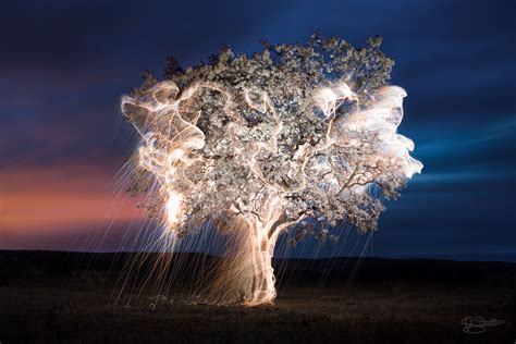 brazillian photographer   rain light  compelling light painting series