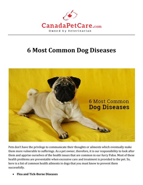 common dog diseases  jessermcdaniel issuu