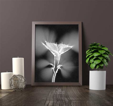 printable floral wall art  beautify  space craft mart